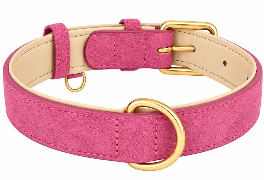 Pink classic collar